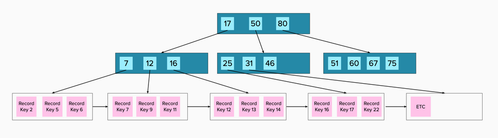 B+ Tree 2